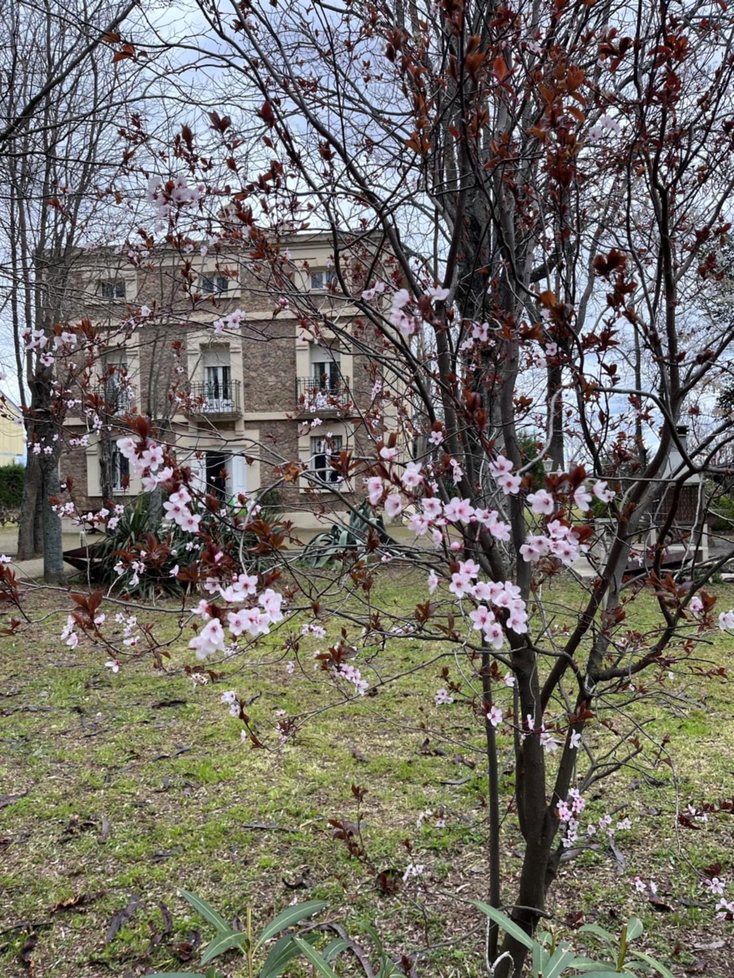 Villa Merenciana Agoncillo Zewnętrze zdjęcie